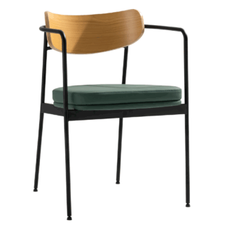 Bristol mit Armlehnen Polster grün 1.png