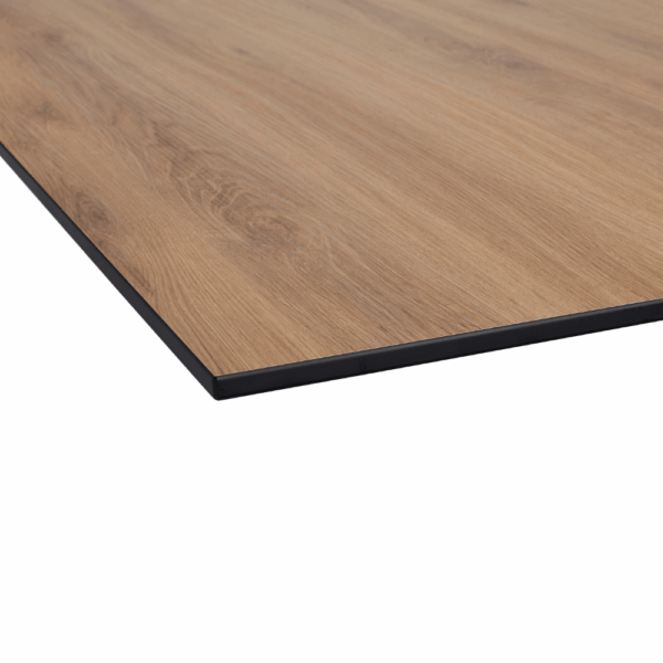 Eiche Natur nahaufnahme