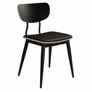 Arvor gepolstert schwarz 1.png