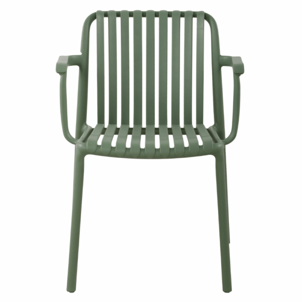 Bianca Olive AL 2.png